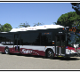 Airport Shuttle - Flat Rate |OAKDALE - RIVERBANK - ESCALON - SALIDA - RIPPON - MANTECA - LATHROP - FRENCH CAMP - WATERFORD